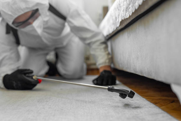 Professional Cockroach Control technician working in Waltham, MA
